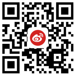 【使用手册】主要咨询公司_哔哩哔哩-2